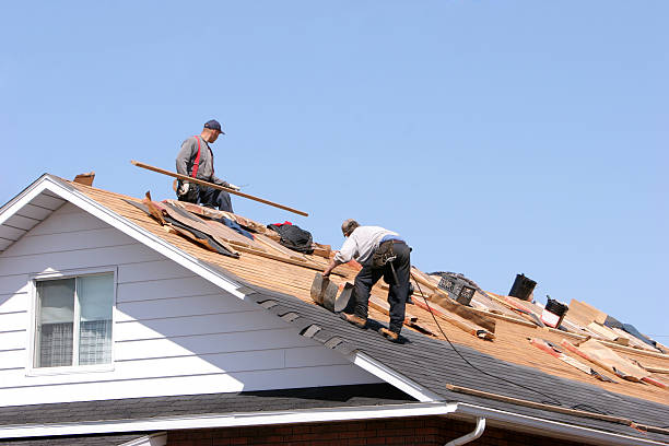 Best Storm Damage Roof Repair  in Lafayette, IN